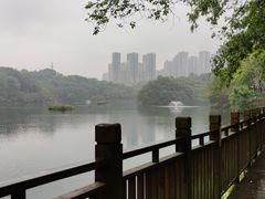 -重庆彩云湖湿地公园