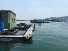 -海上驿站渔家菜馆