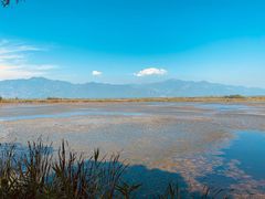 -野鸭湖国家湿地公园