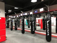 -TFC 纯泰拳馆MuayThai