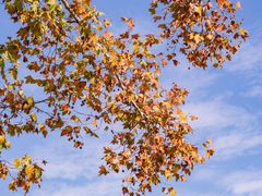 -北山街历史文化街区