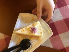 -秘密小花园(第三中学店)