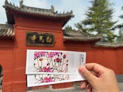 -洛阳白马寺