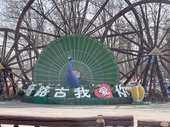 -呀路古热带植物园