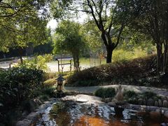 -山湖温泉