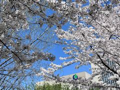 -江南大学(蠡湖校区)