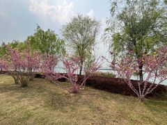 -阳澄湖半岛旅游度假区