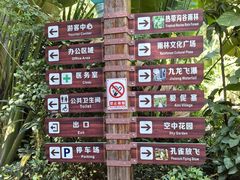 -西双版纳原始森林公园