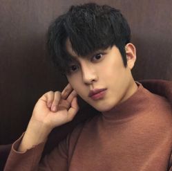 点击看大图 -艺之剪