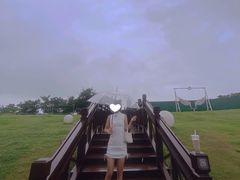 -苏州太湖国家湿地公园