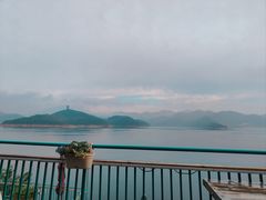 -望湖烤鱼
