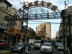 -溪岸路花鸟市场