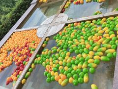 -天目湖涵田半山温泉