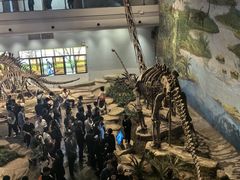 -自贡恐龙博物馆