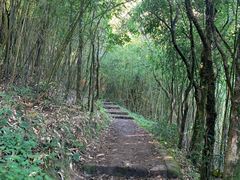 -姑婆山旅游区
