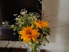 -泰康之家·申园