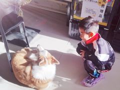 -平行世界·猫咖(首经贸店)