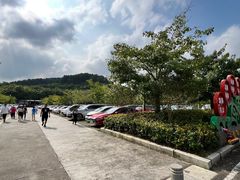 -大屏嶂森林公园