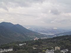 -南山植物园