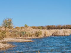 -野鸭湖国家湿地公园