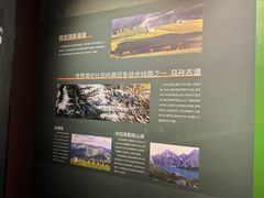 -特克斯八卦城
