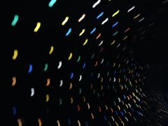 -贝壳梦幻世界