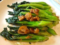 猪油渣炒菜心-任兴记(定西路店)