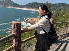-广东惠东海龟国家级自然保护区