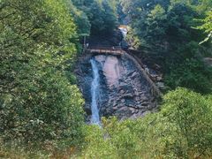 -广州白江湖森林公园