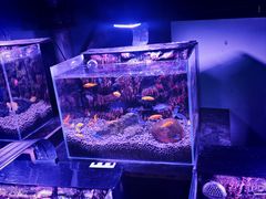 -邯郸海洋世界