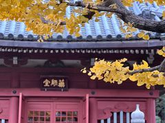 -浅草寺