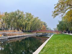 -元大都城垣遗址公园