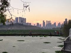-月湖风景区