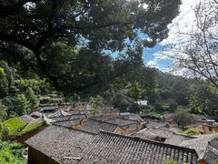 -杨家堂村