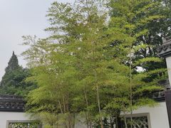 -杭州植物园