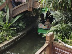 -南宫五洲植物乐园