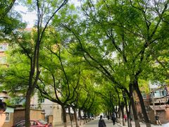 -山东理工大学