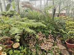 -国家植物园南园