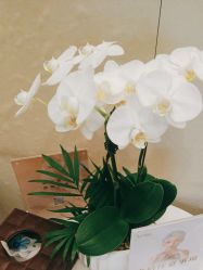 -Yestar艺星医疗美容医院