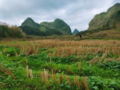 -靖西鹅泉风景区