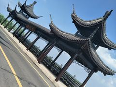 -泗洪洪泽湖湿地景区