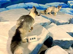 -陕西自然博物馆