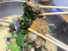 -岩泊渡桂鱼楼活鱼馆