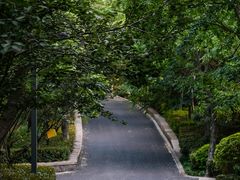 -北岭山森林公园
