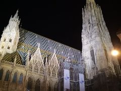 -斯蒂芬主教座堂(Stephansdom)