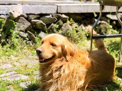 -MOJ coffee(瓯海泽雅水碓坑店)