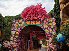 -北京欢乐谷