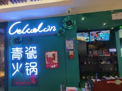 -青瓷火锅料理(西单大悦城店)
