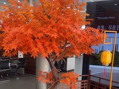 -奔驰利星行(北京花乡店)