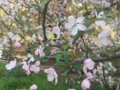 -共青国家森林公园-售票处